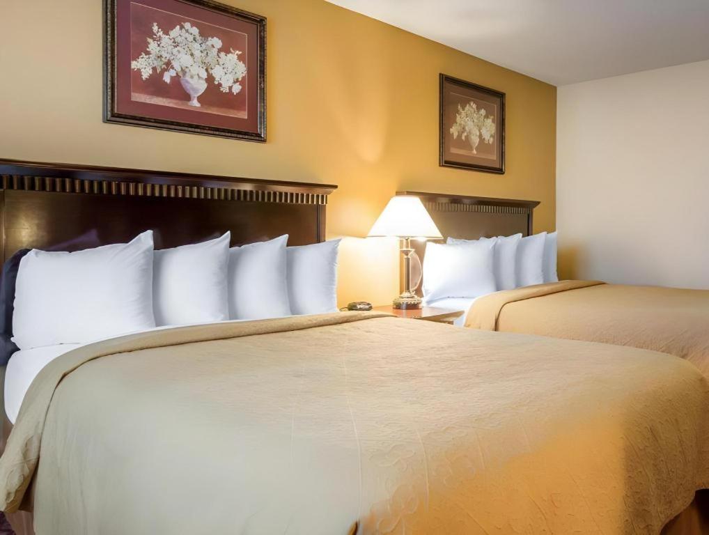 Quality Inn San Bernardino Exteriör bild