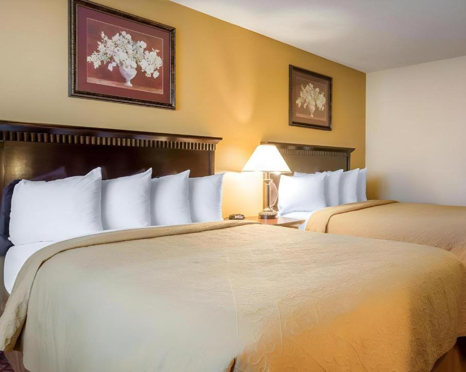 Quality Inn San Bernardino Exteriör bild