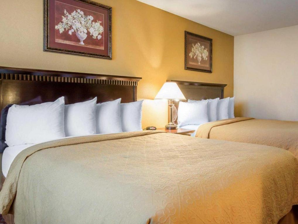 Quality Inn San Bernardino Exteriör bild